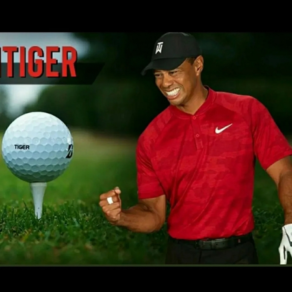 Tiger Woods Bridgestone Golf Ball He Won with 2019 Masters With Tiger's …